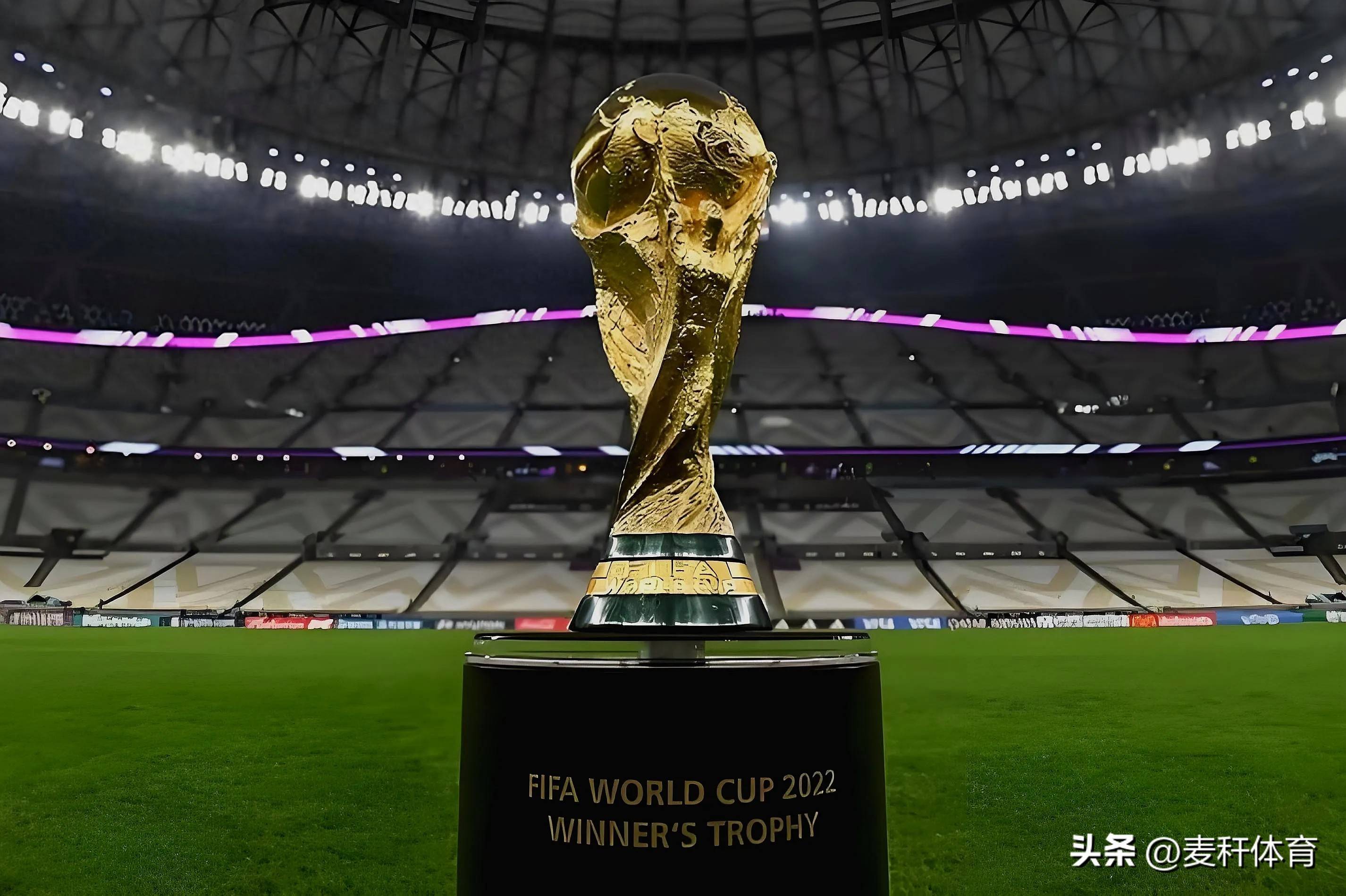 成都蓉城队 成都蓉城队