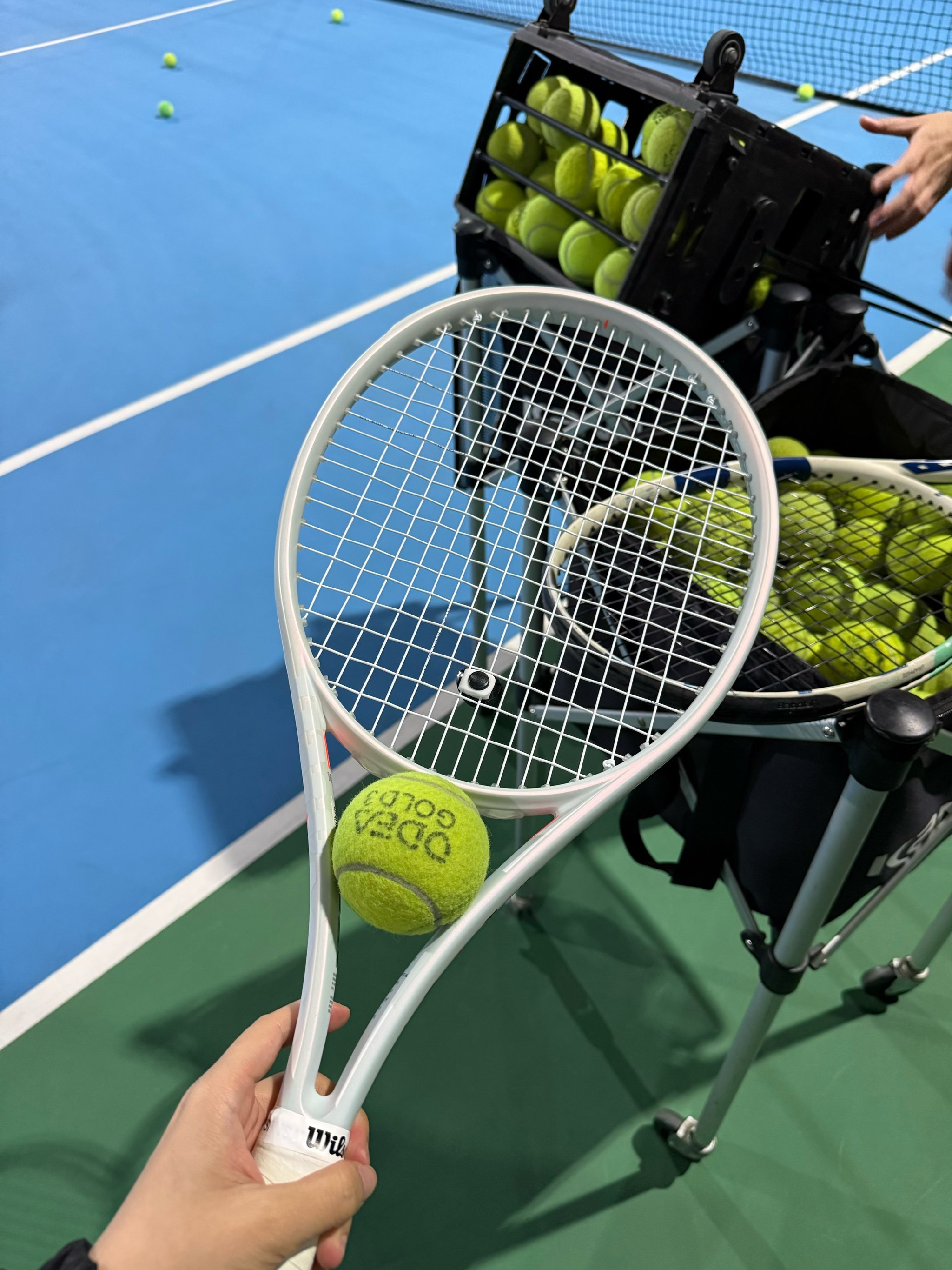 让人们看到 让人们看到