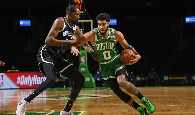 油菜在冬季 油菜在冬季