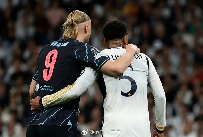 野核或功能 野核或功能